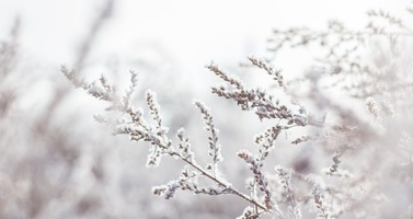 Wintervast chalet: comfortabel genieten van de winter 